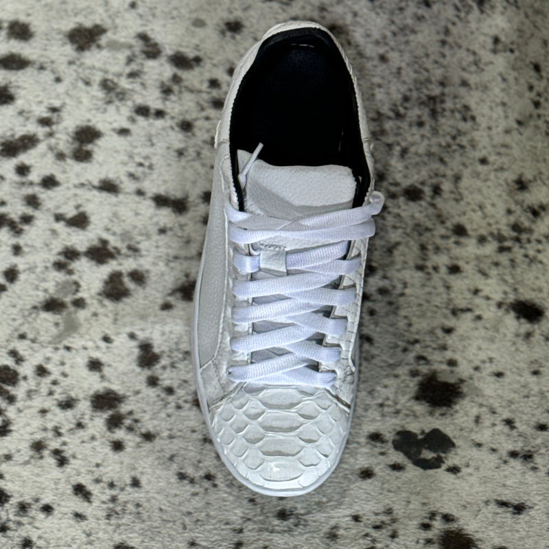 TENNIS PYTHON WITHE