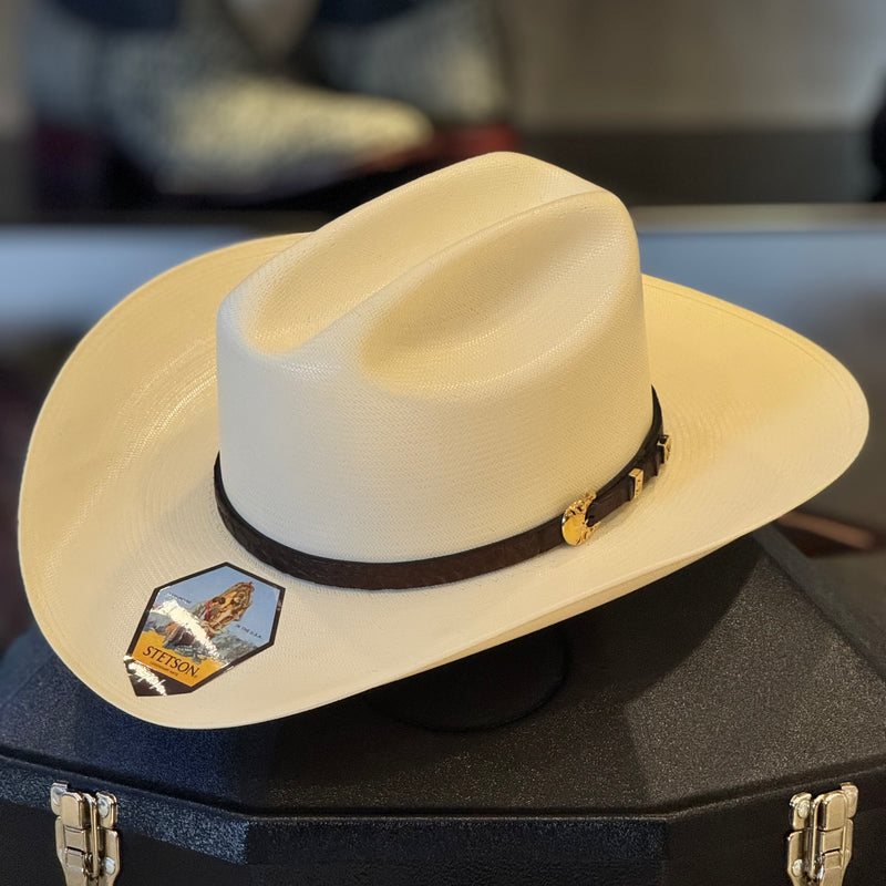 SOMBRERO STETSON EVILLA DE ORO CALIDAD 1000x + ESTUCHE DE VIAJE