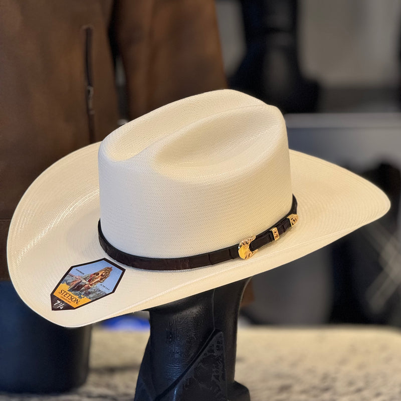 PROMOCIÓN CHAMARRA PIEL DE RES + STETSON EVILLA DE ORO CALIDAD 1000x