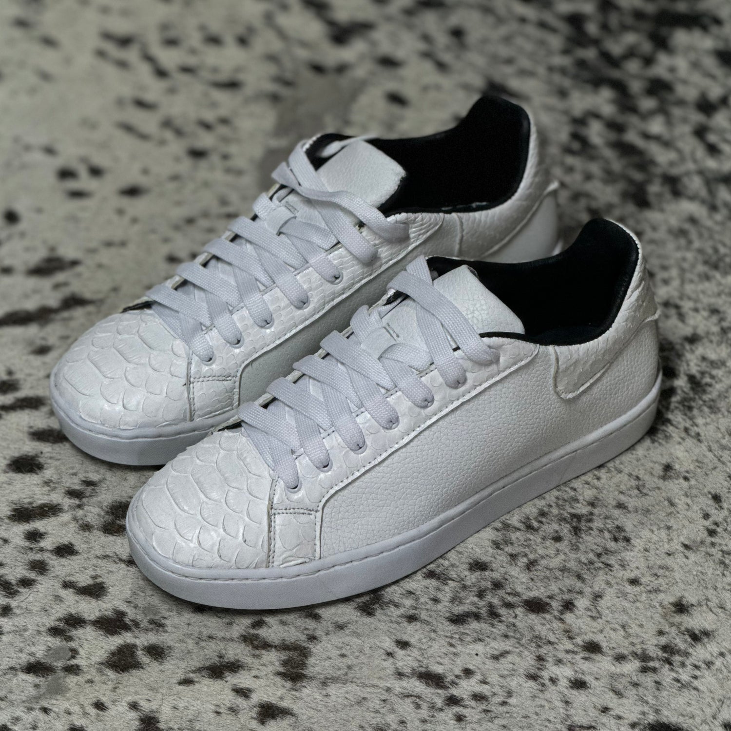 TENNIS PYTHON WITHE